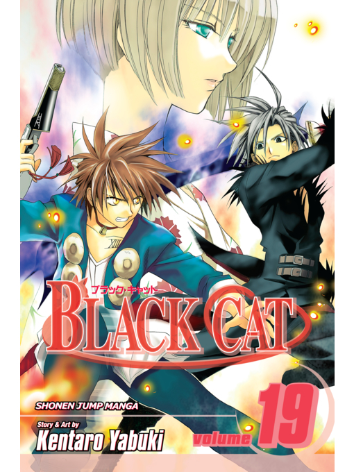 Title details for Black Cat, Volume 19 by Kentaro Yabuki - Wait list